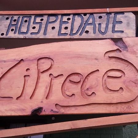 קויאיקה Hospedaje Los Cipreses מראה חיצוני תמונה